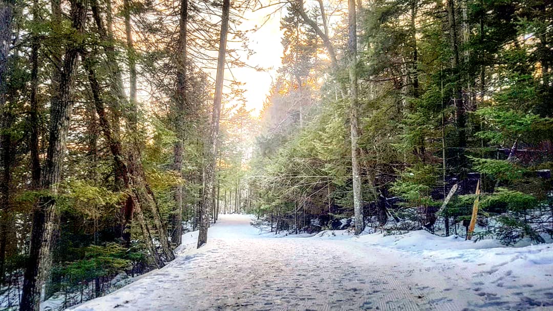 tweetartt's tweet photo. Late afternoon hike around Killarney Lake.
#nbwinter #explorenb #explorefredericton #Fredericton #winterwalk #weightlossjourney #winterphotography https://t.co/NaS6824rez