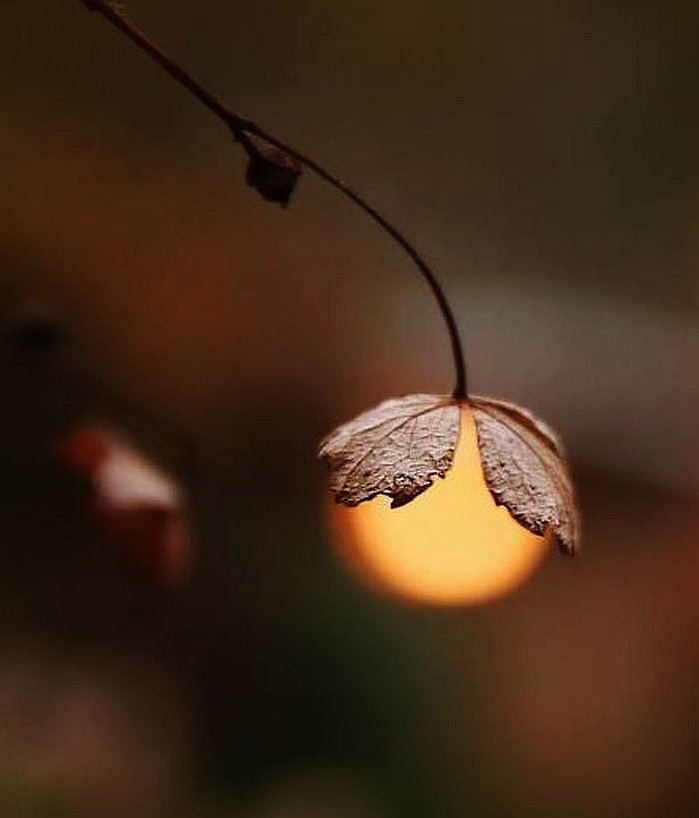 위대한
일을

이루어내는
사람들은

평범한
사람들이 알지 못 하는

심오한
세상을 알고있다