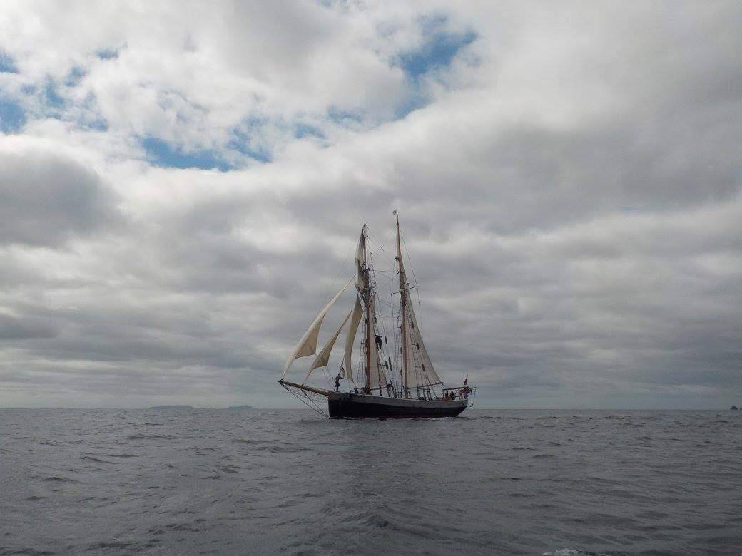 RTuckerThompson's tweet photo. Okay all you hardy souls, you wanted wind! Thursday is the day for it! To quote our captain: "We're all happy, looking forward to some good sailing!" Join us for a fun ride! #NZMustdo #PureNZ #sailing #daysails #windy #bayofislands #rtuckerthompson https://t.co/EbCU0ZSxLt