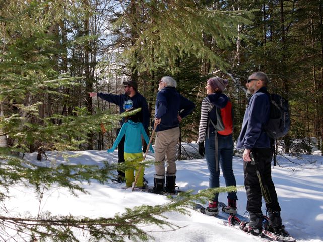 LibrarianCarson's tweet image. We had a glorious day taking patrons on a guided hike @Meduxnekeag with the help of Simon and George (with an option to borrow snowshoes from the library and complete with a free bus ride)!
@alaeditions 
@LetsMoveLibrary 
#physicalliteracyinthelibrary
#programminglibrarian