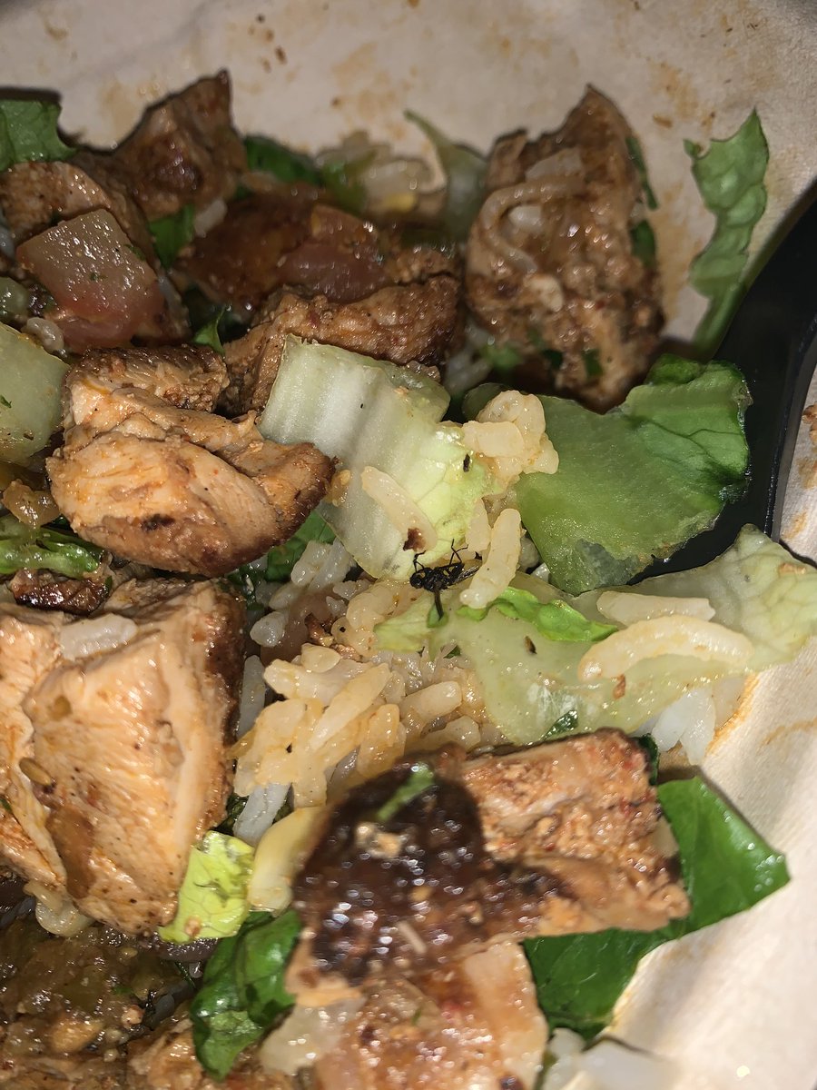 GreeleyHunter's tweet photo. @ChipotleTweets  I LOVE the extra dead fly protein in my chicken bowl! This is beyond disgusting. https://t.co/Fk4Kdd9nAL