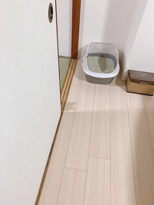 もうちょっと練習しないとね #シャム猫あずきさんは世界の中心 