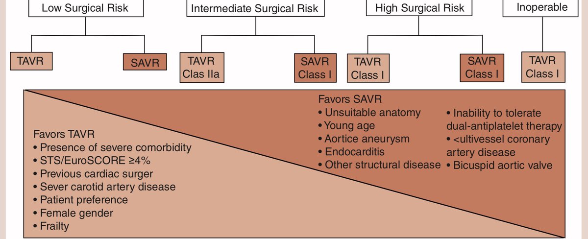 Low risk #TAVR: taking the plunge and embracing a paradigm shift; great work by @Anirudh_KumarMD, out now in @fsgfca; with Drs. @MReardon19 (@HMethodistCV), @GrantReedMD and @tavrkapadia. ow.ly/PBpU30qmPA4