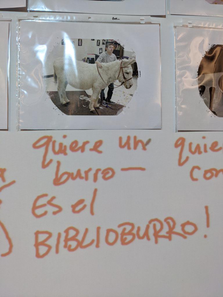 senoranichols's tweet photo. Day 1 of my first time doing #woolyweek has worlds colliding and I love it! #biblioburro #petervaacolombia @profeklein https://t.co/rfH7EZSvni