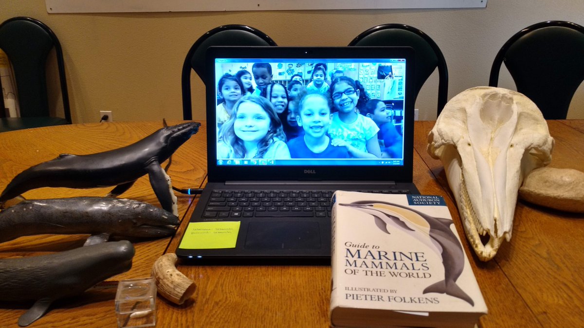 whyweblend's tweet photo. Pacific Whale Foundation &amp; WED Skype with a Scientist @whyweblend @wednovans @dawnman14 https://t.co/35gtjW1IYE