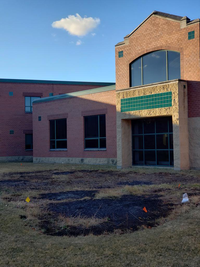 DebbiePohlmann's tweet image. Done! #BioEplorations @BioExplorations @phsccwildcats