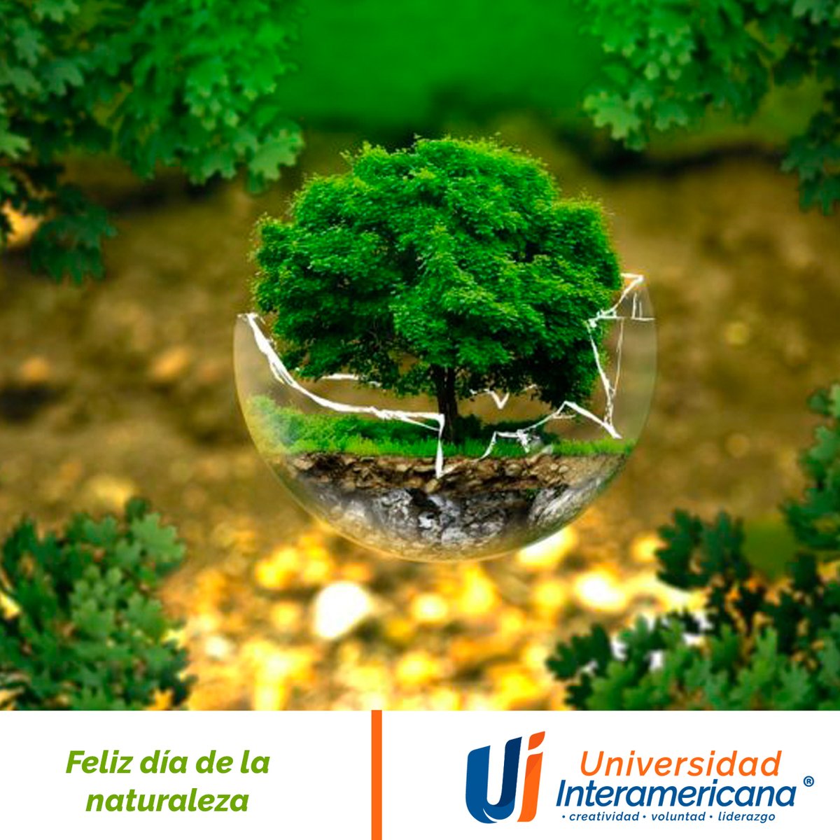 LaInterMx's tweet photo. ¡Feliz día de la naturaleza y la vida salvaje! 🌴☘🎉
Cuando hablamos de vida salvaje pensamos en los animales y olvidamos al mundo vegetal. Sin embargo, el mundo vegetal es la base de la supervivencia del planeta.
#DiaDeLaNaturaleza #GenteInter https://t.co/YeCB8NifTi