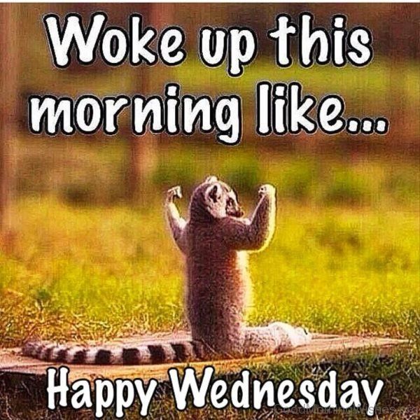 Morning! It’s #FFBWednesday.A great way to increase your support network!All you need to do is like,retweet and/or comment on this thread with your bio and use the #FFBWednesday hashtag.Don’t forget to Follow,follow back! Have a great day, it will be amazing so wake up and smile!