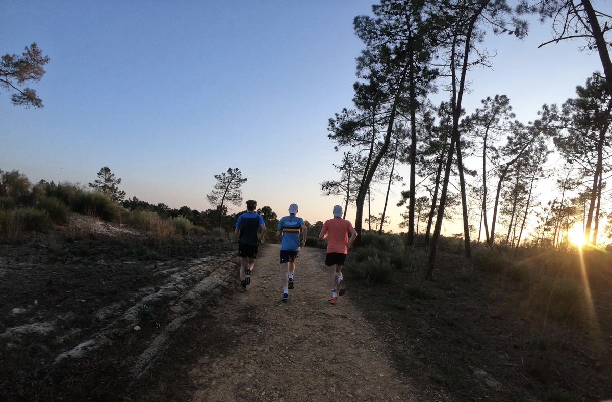 JackKennedy_Tri's tweet photo. Solid training camp in Monte gordo. Looking forward to some racing in the coming weeks. https://t.co/vJGxcQ0ZNt
