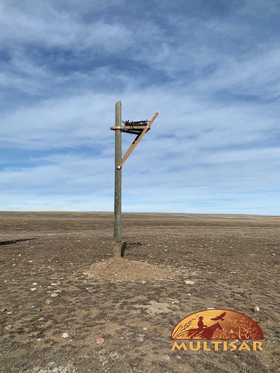 MULTISAR's tweet photo. A big thank you to @poweredbyequs for installing three ferruginous hawk nesting platforms last week! https://t.co/9FLmp55vSL