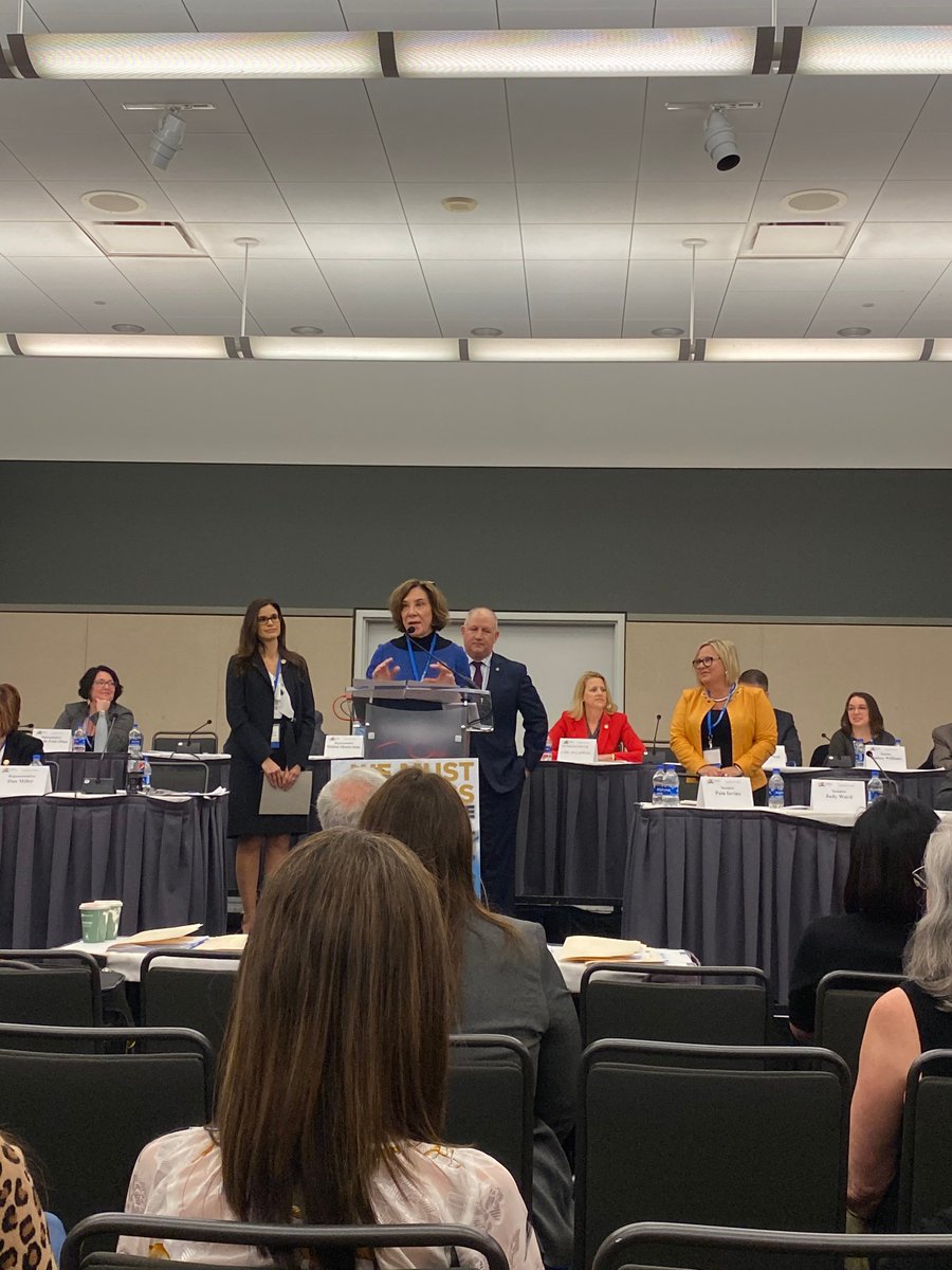 SenatorIovino's tweet photo. Today at @RepDanMiller's #DMHsummit, I co-chaired a bipartisan, bicameral policy hearing. We heard from subject matter experts on how we can advance policies to build a workforce that is more inclusive for people with disabilities &amp; to improve suicide prevention efforts. https://t.co/83TB655QVd