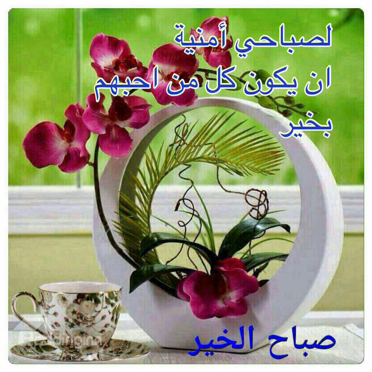 🌸🌷🌹
إلهي لا تحرمني من عطائك بقلةِ شكري..
    ولا تخذلني بقلةِ صَبري ولا تحاسبني بقلة اسَتغفاري و لا تعاقبني بكثرة ذنوبي فانت الكريم الذي وسِعت رحَمتك كل شيء 

🌹صبحكم الله بالخير🌹