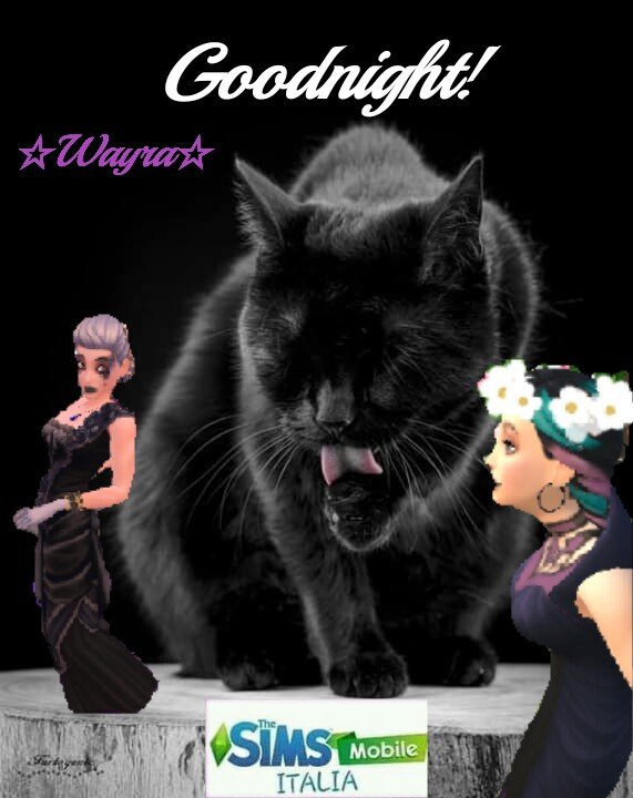 els_roomX9's tweet photo. #BlackCat #MissPeregrine #Beautiful #love #tsm  #thesims #TheSimsMobile #thesimsmobileitalia #FireMonkeys #FM #EA #GoodNight https://t.co/5PokLSu8OL