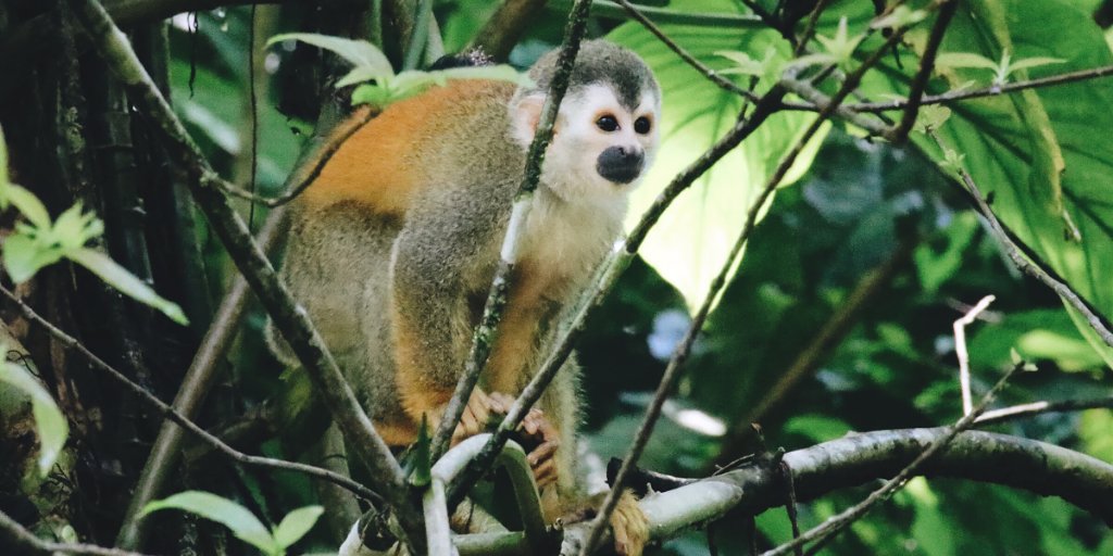 GreatGuides tweet media