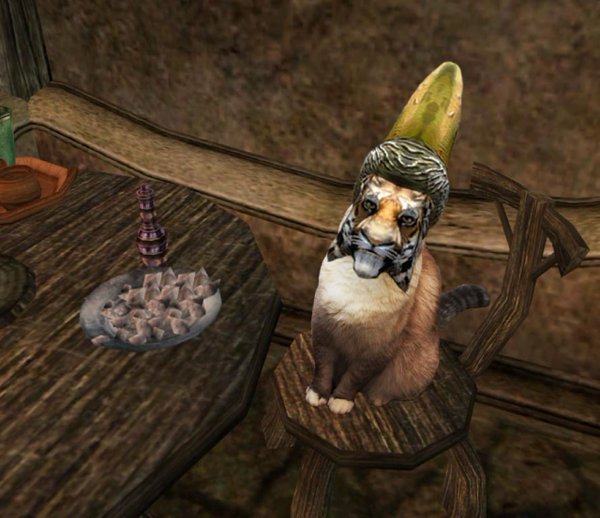 ESOGJMEWAAA7fAD?format=jpg&name=small