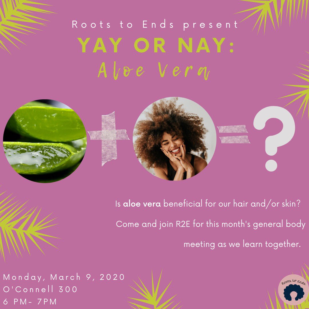 R2E_DePaul's tweet photo. Yay or Nah: Aloe Vera🌿 Come join R2E at our General Body Meeting for a discussion based on if aloe vera is actually beneficial for your hair and skin✨ #skincare #haircaretips #aloevera https://t.co/9GVUsRF9WL