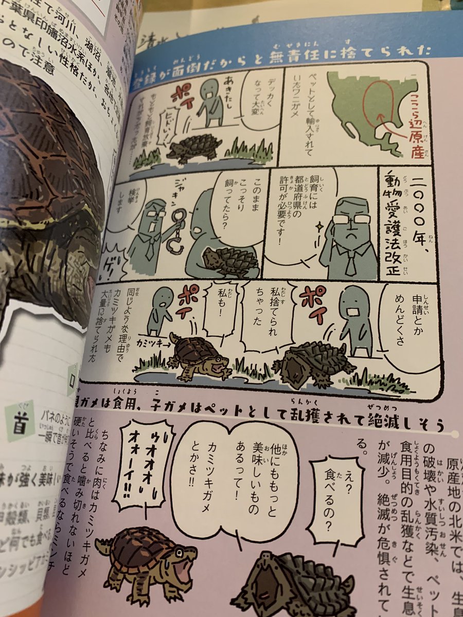 著作にウイグル、南モンゴルの文字を入れて下さったウラケン・ボルボックス先生から、1冊目の御本をプレゼントしていただきました✨私より先に子供が奪うように読んでましたw生物への好奇心を擽る凄い内容です、知識がいっぱい!何より絵が可愛くて大人が読んでも面白い‼️オススメです(^_^)b 