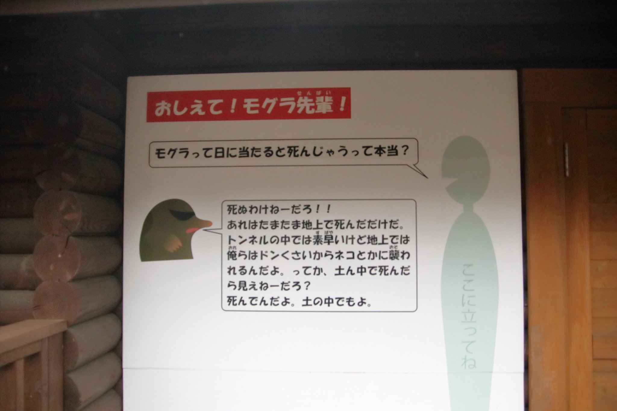 モグラ先輩 Twitter Search Twitter
