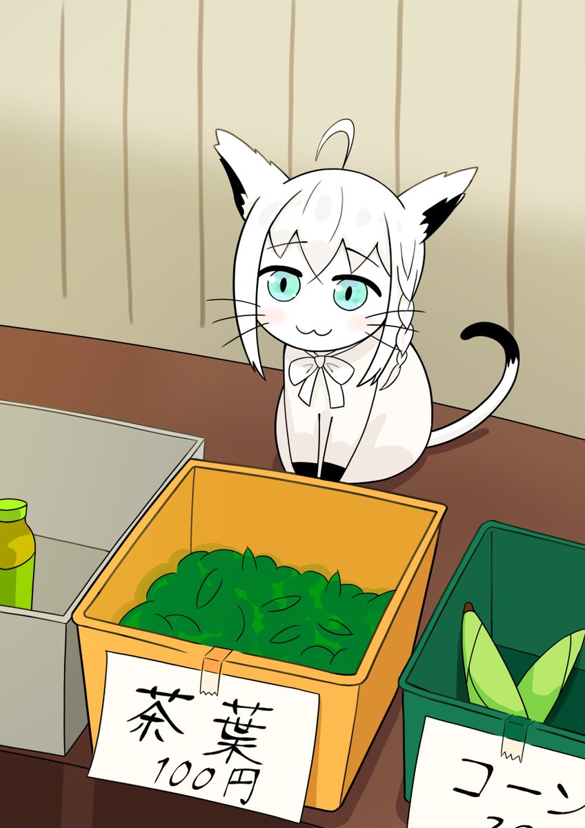 フブキ「田舎によくいる白上フブキによく似たねこ
#絵フブキ 」|桃缶ぽてとDXのイラスト