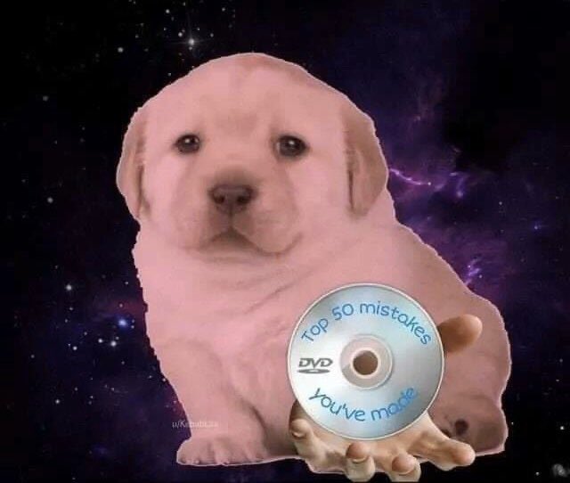 lucy,, tweet media