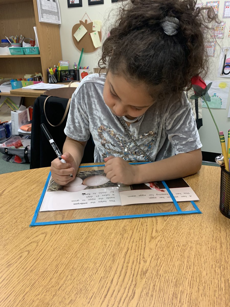 We used our smartPALS to search for and circle different digraphs &amp; blends in our book!