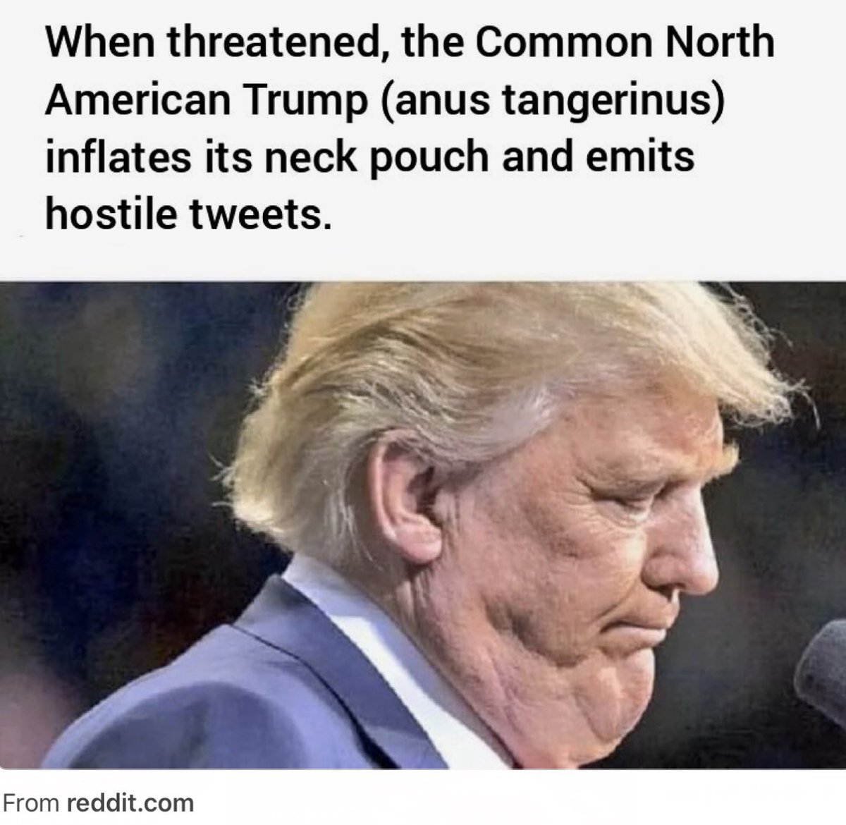 Corkytp's tweet photo. https://t.co/ivGjhBR2tr