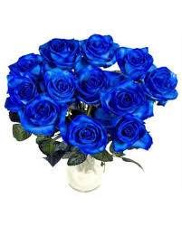 Zed (@zedlovesaddison) on Twitter photo 