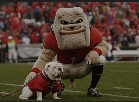 dakota_twitty's tweet photo. Blessed to receive an offer from @GeorgiaFootball. Thanks @KirbySmartUGA @Coach_Hankton #Next1Up #GryphonFootball @threat_sports @SC_DBGROUP @TJCAOfficialFB @dakota_twitty https://t.co/HEae2SJQkd