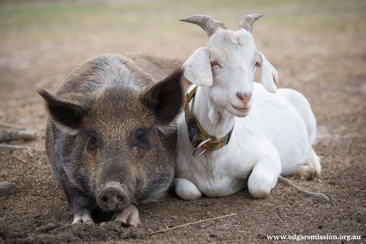 Ryley Bennefield tweet media