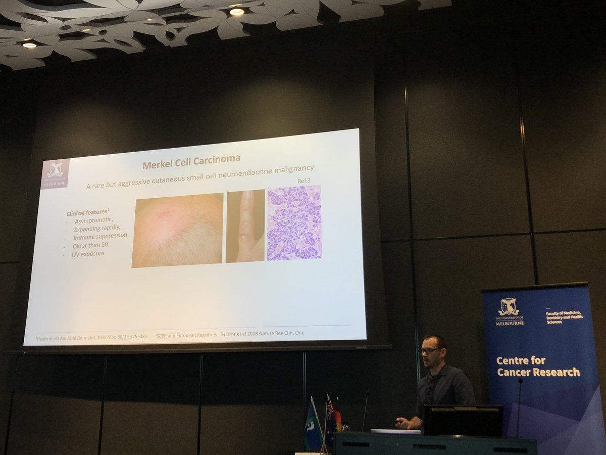 GenCancerCentre's tweet photo. #UMCCRSeminar: Dr @rtothill’s @UMCCR_RADIO_Lab is dedicated to translational research of rare and less common cancers. Merkel cell carcinoma is a rare but aggressive cancer with low 5-year survival, and Australia has the highest incidence worldwide. https://t.co/COXRpwI2ES https://t.co/Rr5vuuR4HC