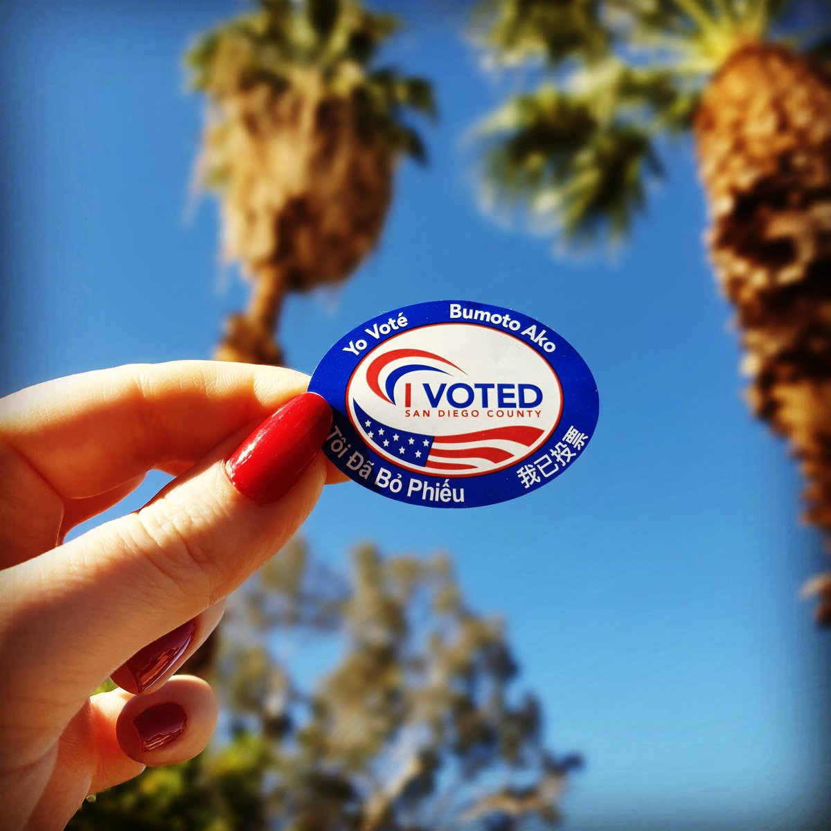msromany's tweet photo. Yes, I'm #TeamWarren but I will wholeheartedly support any of our democratic candidates in November. #bluewave ✊🏻🌊 #democraticprimary #supertuesday #californiapower #warren2020 https://t.co/8VajMKnO97