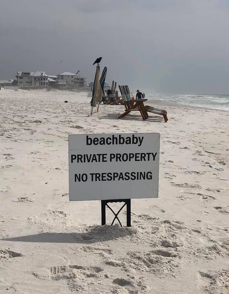 BeachesAll's tweet photo. ....and so it begins!!

Welcome to almost spring🔆

#nosignstheysaid
#customaryuse 
#cuatthebeach
#restorecu

@DannyGlidewell4 
@SenatorGainer 
@braddrake5 
@Kathleen4SWFL https://t.co/2ZAKRW7zgb