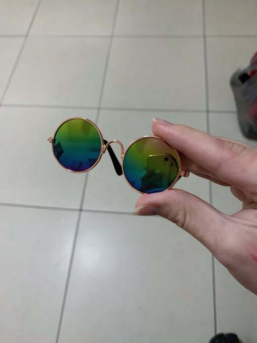 Qual foi a coisa mais in&uacute;til que voc&ecirc;s j&aacute; compraram?  Me: um &oacute;culos de sol pros meus gatos https://t<a href="/tag/strangerthings"class="tags"><span>#strangerthings</span></a>