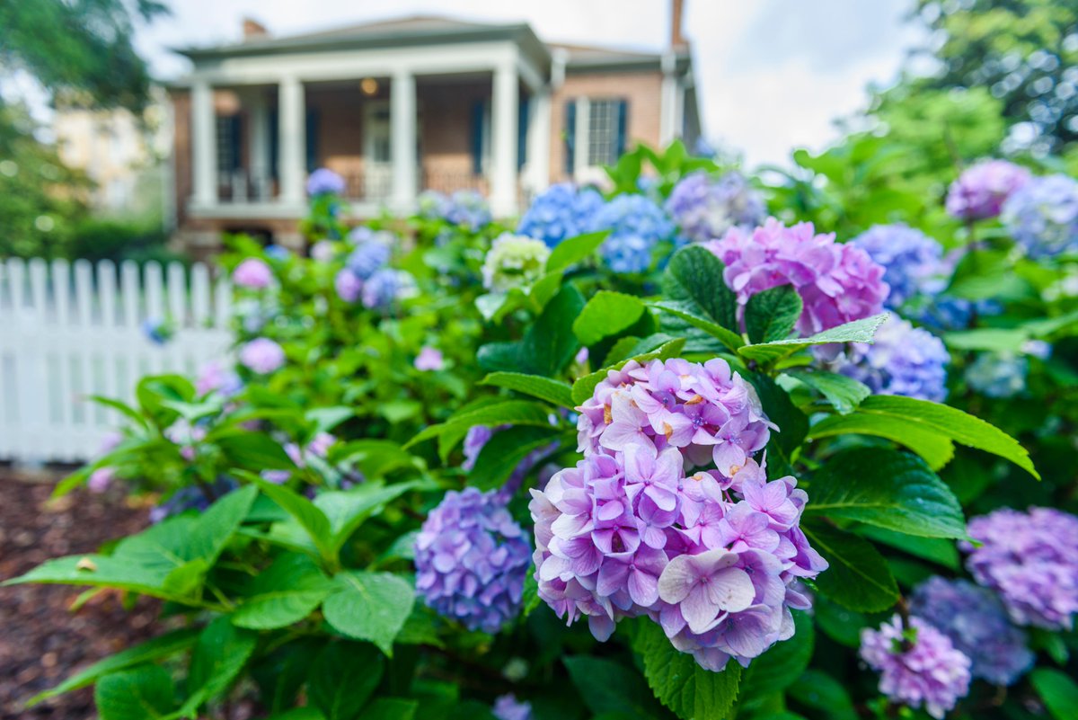 Some college campuses are beautiful. And some take that beauty to another level, inspiring students + faculty alike on a daily basis. 💯 We're proud to say #UA comes in at No. 9 on the list of the 50 Most Inspired College Campuses → bit.ly/2Ijr2yS #WhereLegendsAreMade