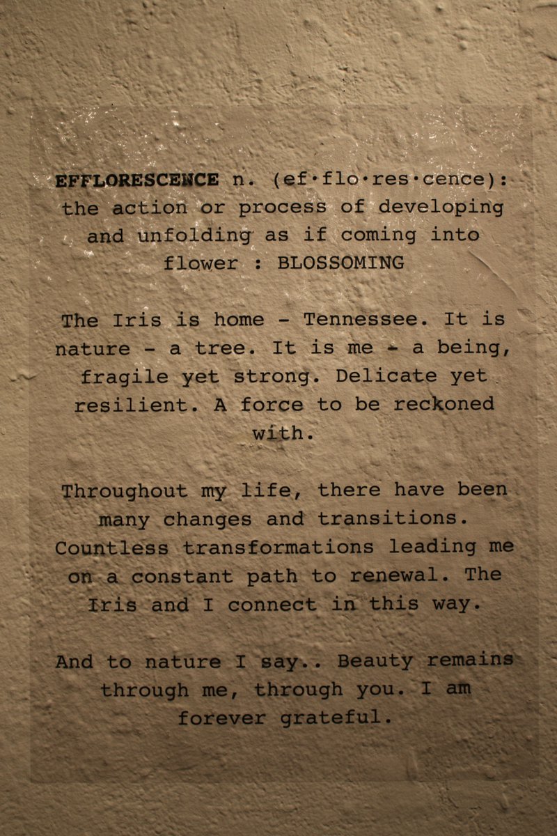 CSUFCOTA's tweet image. CSUF Student Galleries
BFA Drawing and Painting
Julia Frances Vaive
&quot;Efflorescence: An Exploration of Self Through the Iris Flower&quot;
February 15-21, 2020
Visual Arts Complex, Exit Gallery

#CSUFCOTA #CSUF #CSUFVisualArts