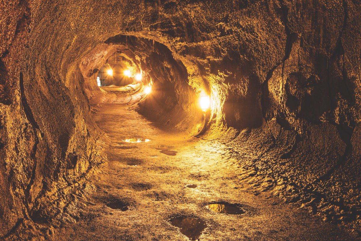 PolyAdHawaii's tweet photo. Walk through the Thurston Lava Tube in Volcanoes National Park on the Hawaii Island Grand Circle Island and Volcano Adventure Tours: https://t.co/N5hrj782D9. This popular attraction was recently reopened after extensive repairs following the Kilauea eruption in May 2018. https://t.co/gRrdNjCvun