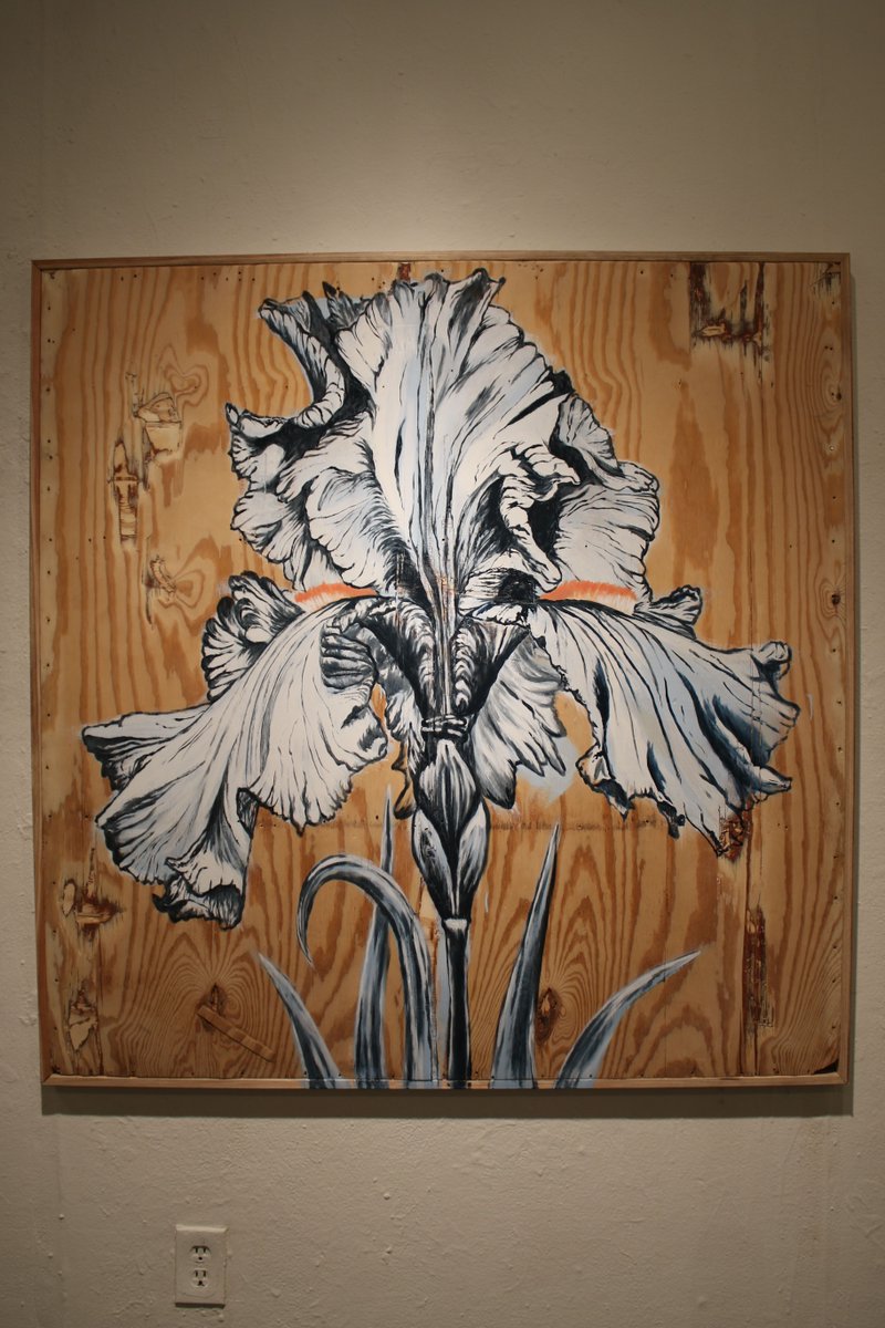 CSUFCOTA's tweet image. CSUF Student Galleries
BFA Drawing and Painting
Julia Frances Vaive
&quot;Efflorescence: An Exploration of Self Through the Iris Flower&quot;
February 15-21, 2020
Visual Arts Complex, Exit Gallery

#CSUFCOTA #CSUF #CSUFVisualArts