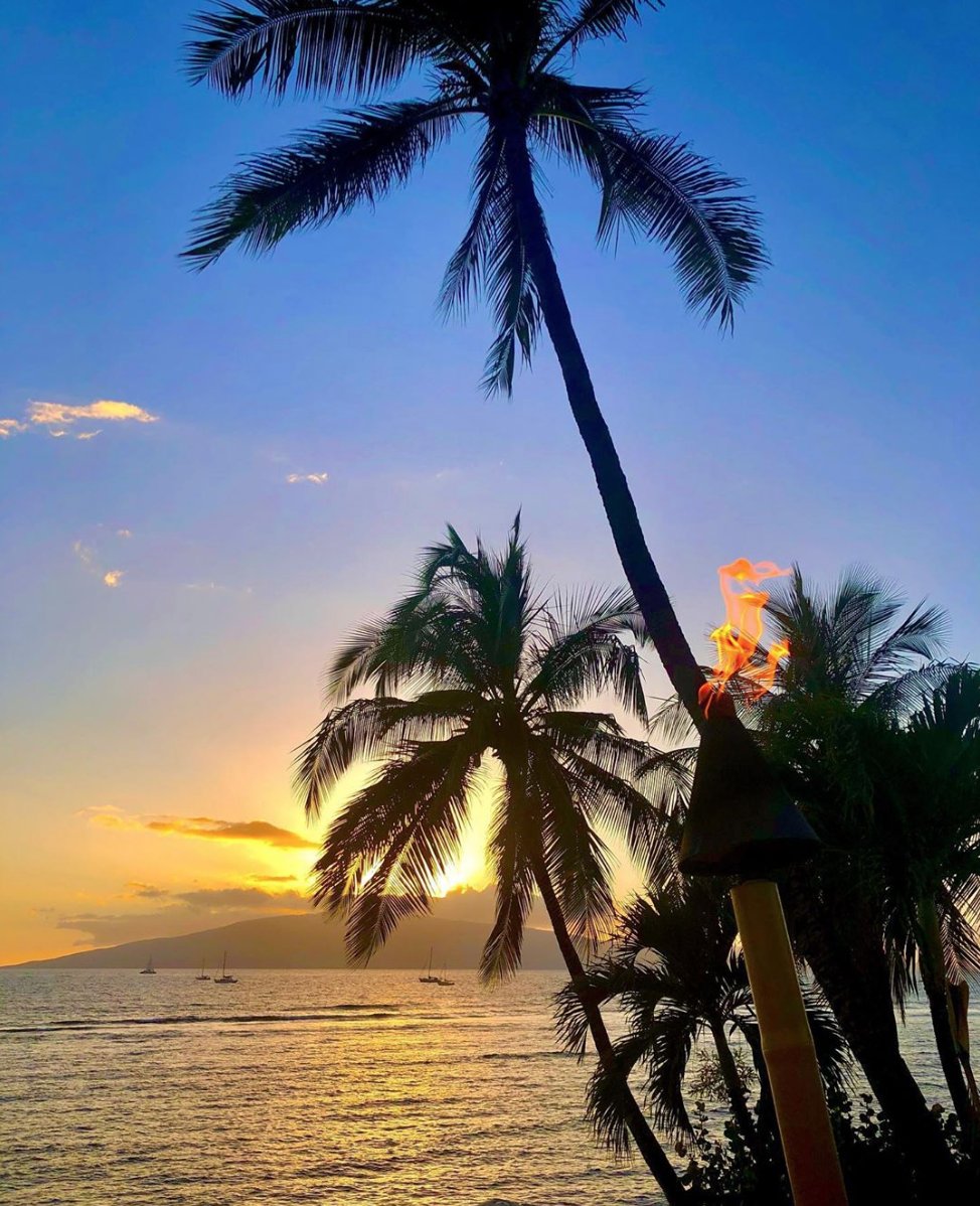KimosRestaurant's tweet photo. Moments we live for. 😍 
📷: Instagram user @johnnyyelll https://t.co/0RAvu9BC0q