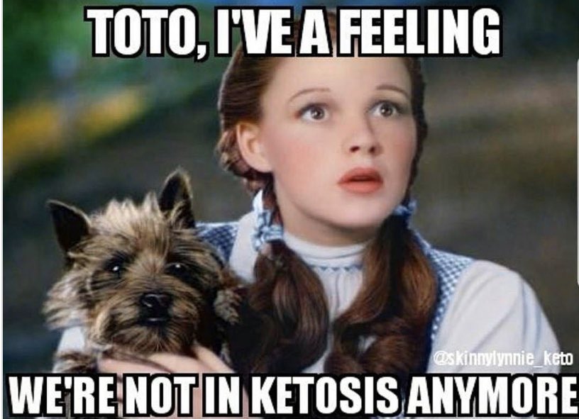 italketo's tweet photo. Funny/Cute! #epilepsy #ketoforseizures #NSNGforseizures #Ketoforepilepsy  #epilepsysucks #seizures #blessedwithepilepsy #ketoforkids #epilepsywarrior #seizuressuck https://t.co/VFNDYSrxt6