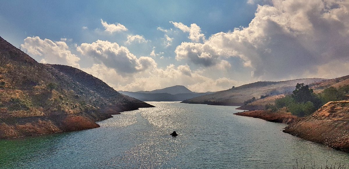 vivekvenki's tweet photo. @ParveenKaswan #Ooty https://t.co/X9KfjEdyCY