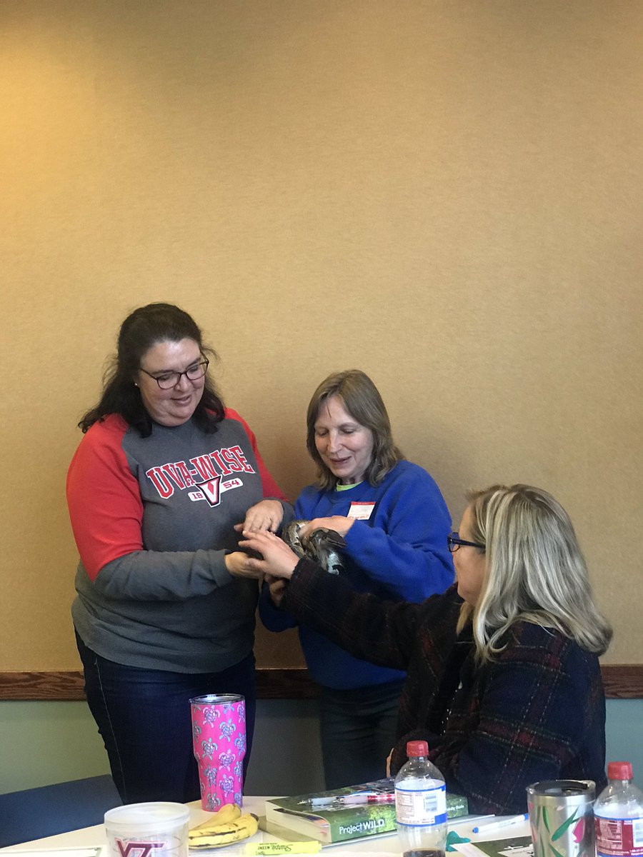 #FCPS Exciting and engaging activities at the Project Eild training.