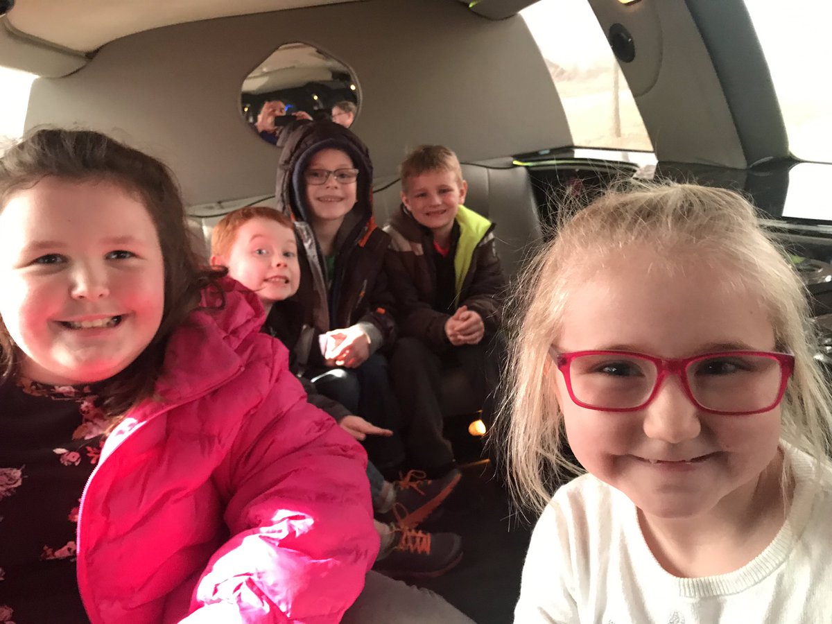 Nathan Polston tweet media