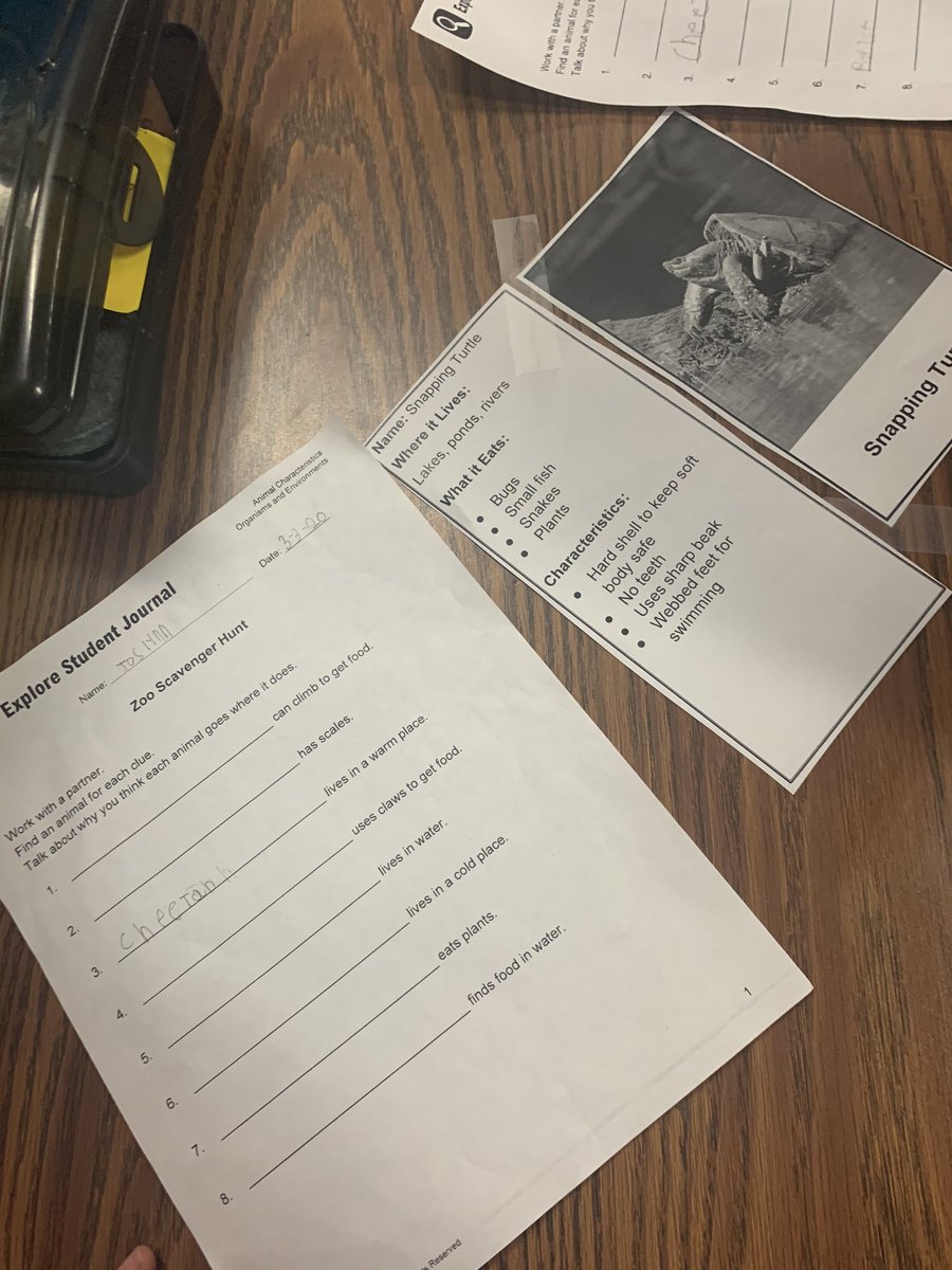 SydneyLugo77's tweet photo. Wrapping up Animal Chacteristics with a Zoo Scavenger Hunt! #dixieelementary #tylerisd https://t.co/dP9ad5hLaH