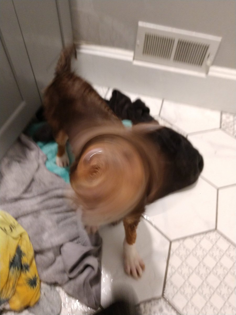 CincySuperFan's tweet image. #FirstBath