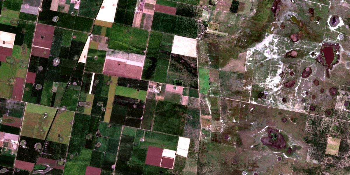 joacolascombes's tweet image. Hay un poco de todo según Sentinel 2 (imagen del 02-03-2020)

#agdron