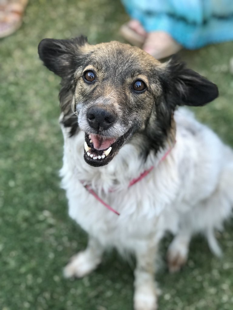 AgusMagnasco's tweet photo. Para siempre, mi Putula ♥️ https://t.co/ECsvAHRFeI