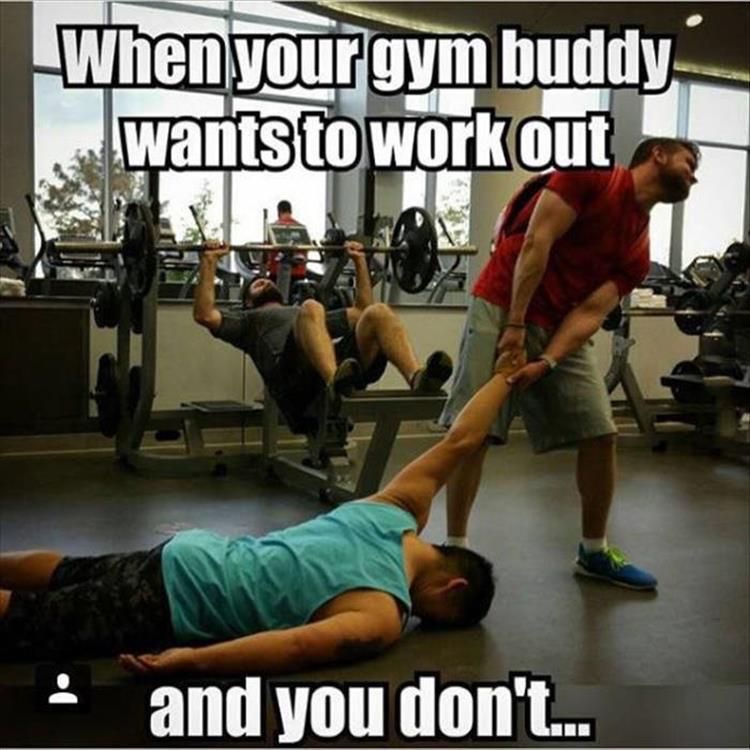 MyMultiSport's tweet photo. Tag your MSF buddy and tell them thanks! 😉 🙌🏼 https://t.co/5UVbbQfzbt