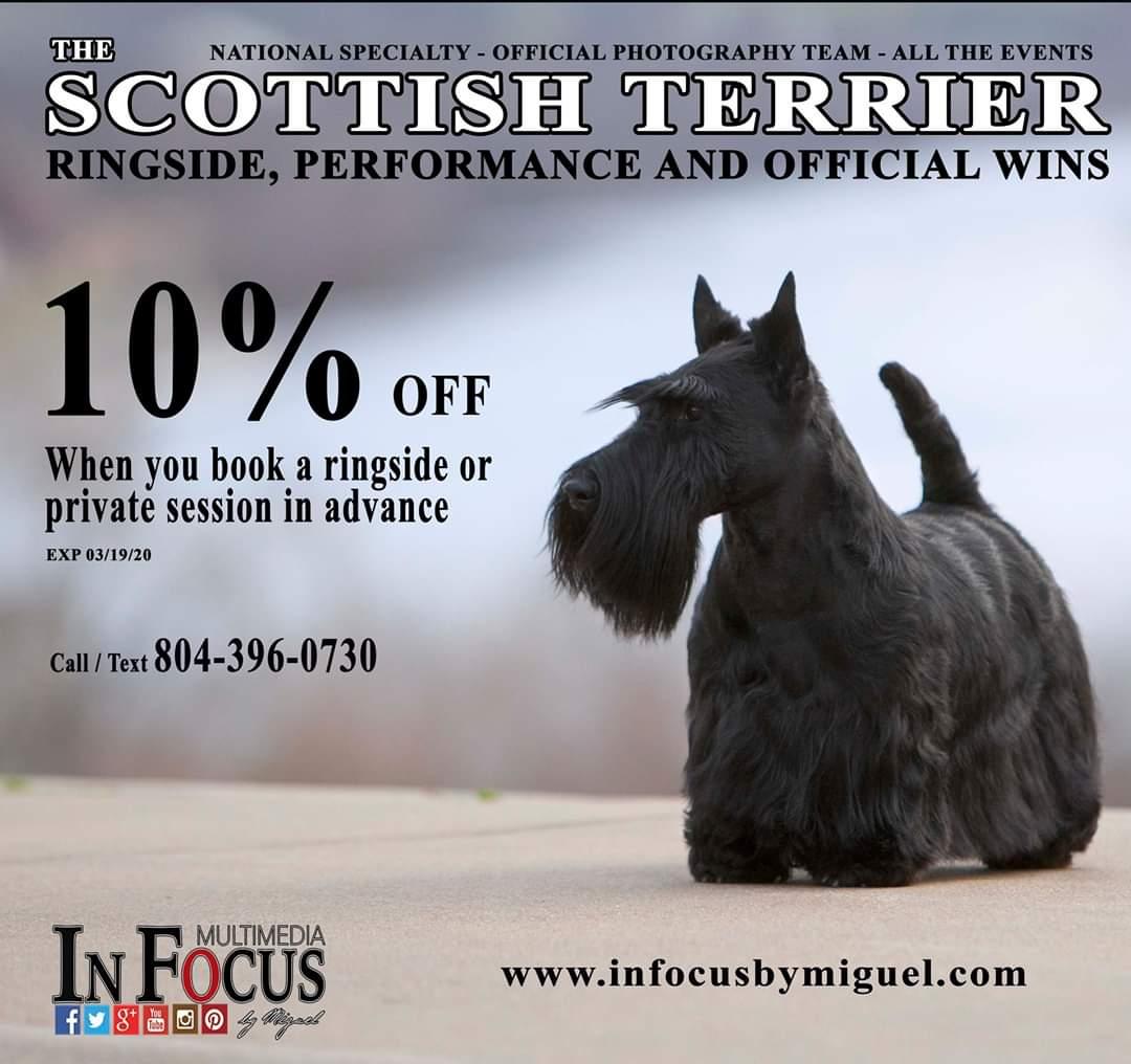aftonscot's tweet image. Scottish Terrier Rotating Specialty 2020 features In Focus Photography March 20-22, 2020. Robert's Centre, Wilmington Ohio.