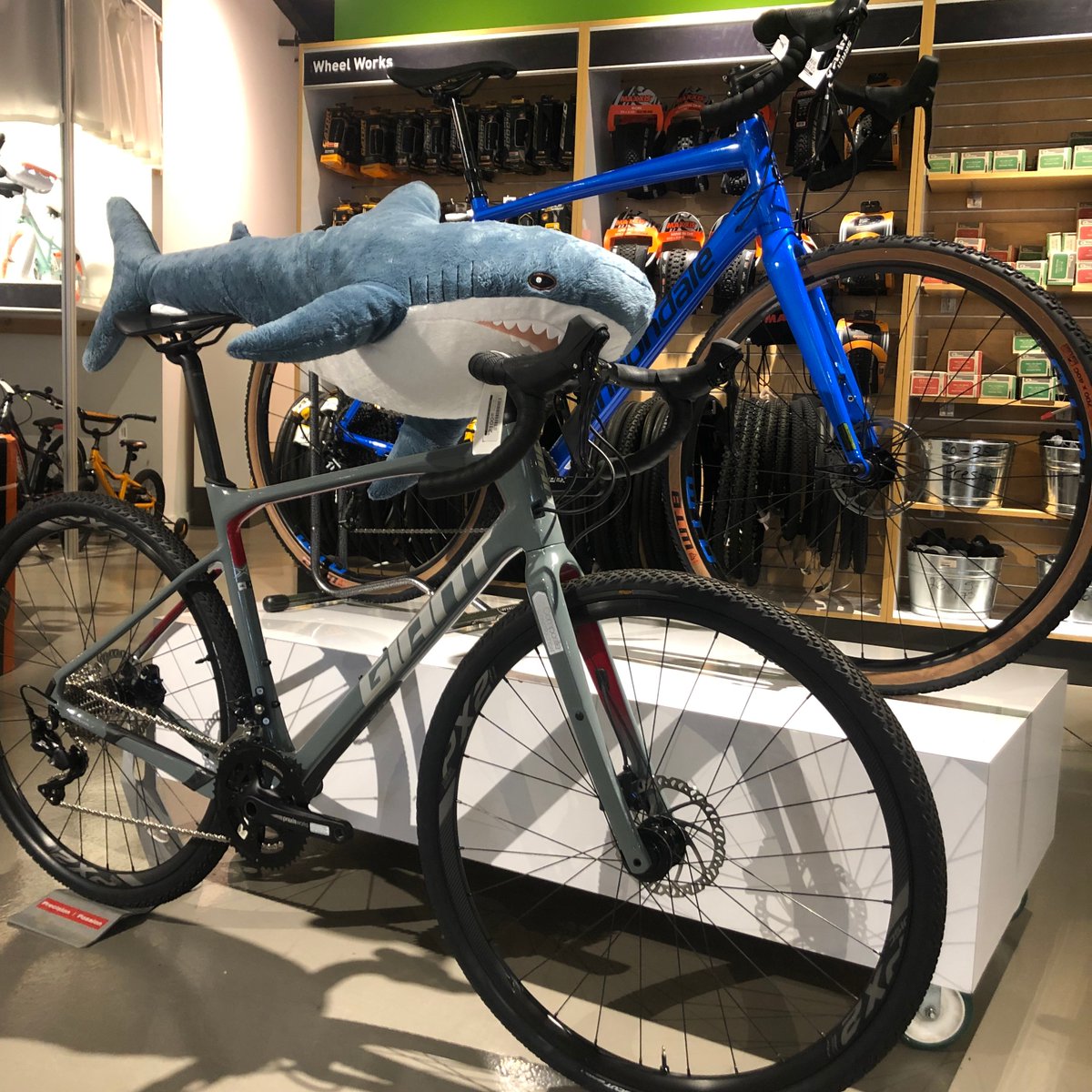 HeadwindCycling tweet media