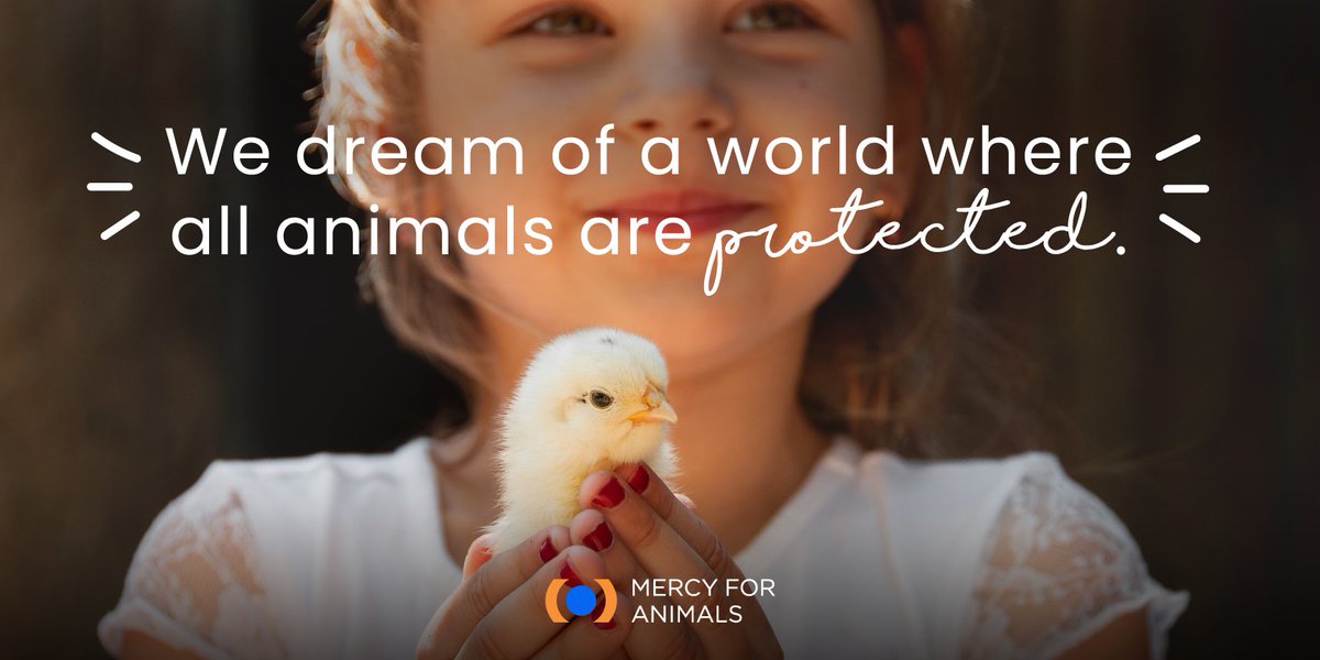 Share if you dream with us! 💭